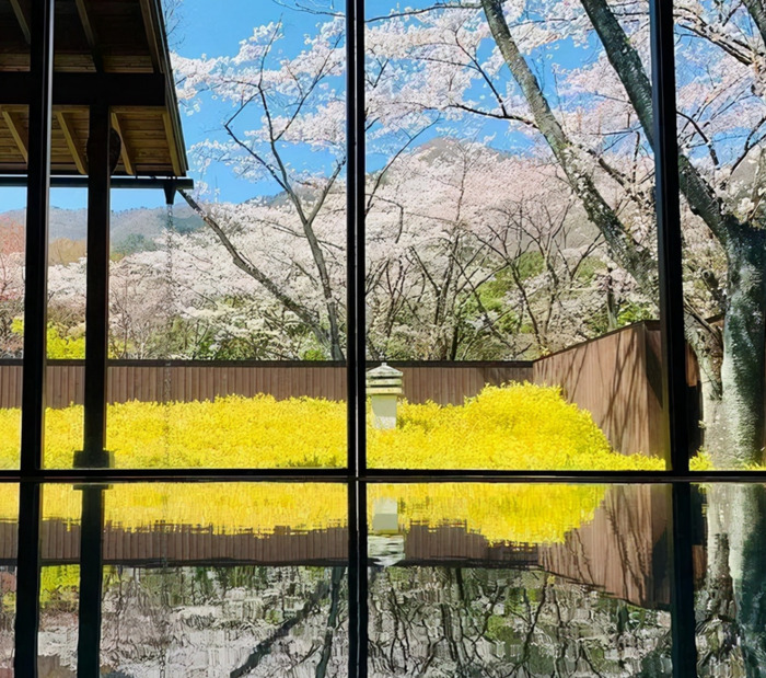 泡温泉文案朋友圈【和朋友泡温泉文案】