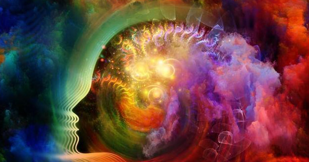 佛说人和猫的缘分【佛家有猫缘的人因果】