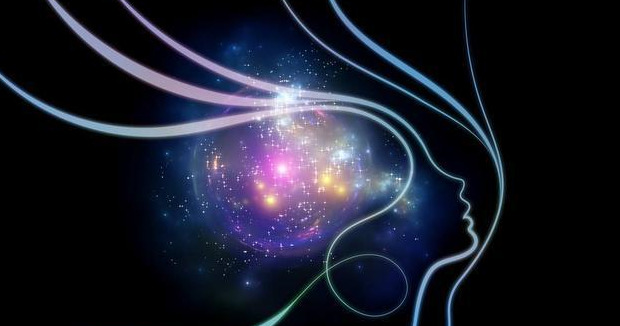 佛说人和猫的缘分【佛家有猫缘的人因果】