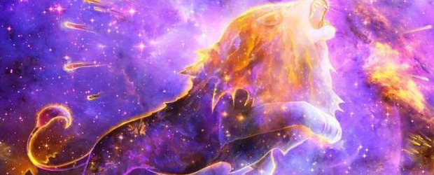 佛说人和猫的缘分【佛家有猫缘的人因果】