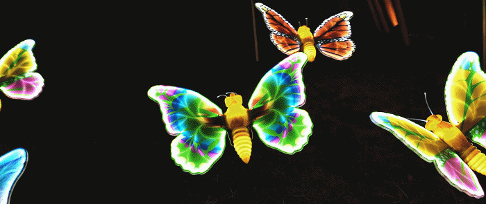 春节期间带孩子去哪里旅游好【带孩子去哪旅游比较好】