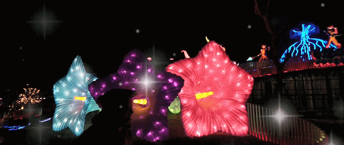 春节期间带孩子去哪里旅游好【带孩子去哪旅游比较好】