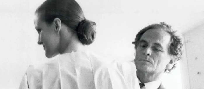 皮尔卡丹商标logo图片【皮尔卡丹商标】