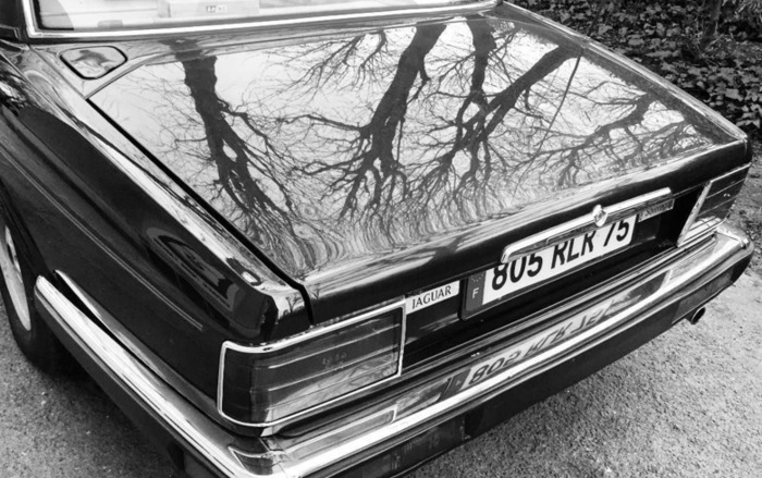 皮尔卡丹商标logo图片【皮尔卡丹商标】