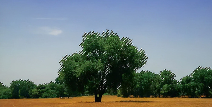 ps抠图教程【怎么用ps抠图】