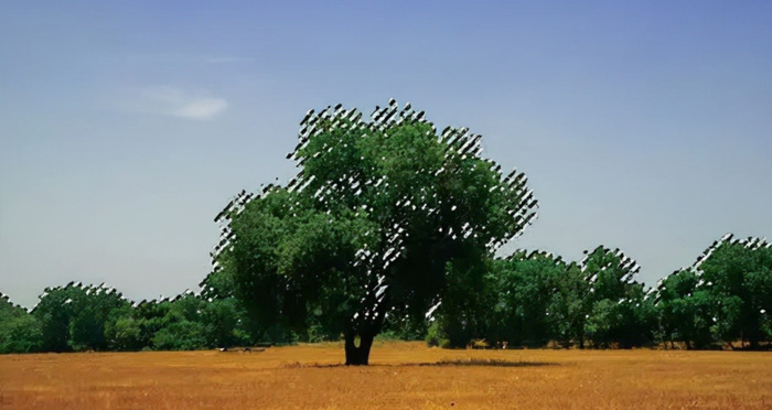 ps抠图教程【怎么用ps抠图】