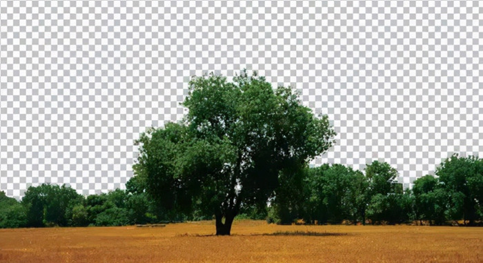 ps抠图教程【怎么用ps抠图】