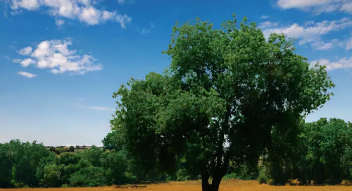 ps抠图教程【怎么用ps抠图】