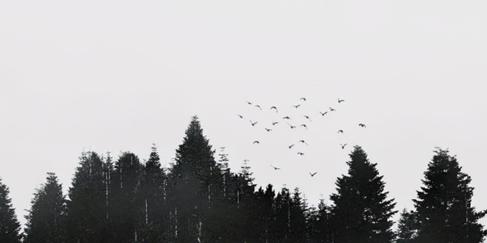 ps抠图教程【怎么用ps抠图】