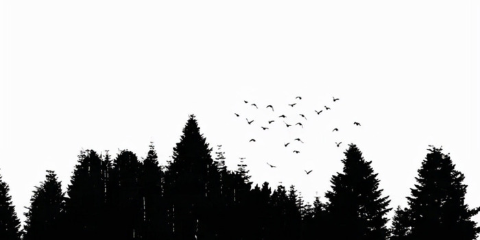 ps抠图教程【怎么用ps抠图】