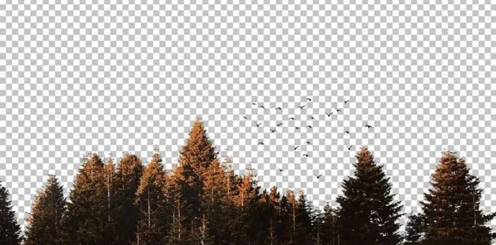 ps抠图教程【怎么用ps抠图】