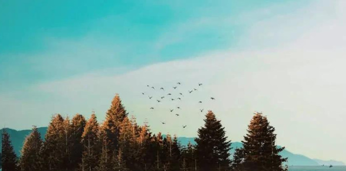 ps抠图教程【怎么用ps抠图】