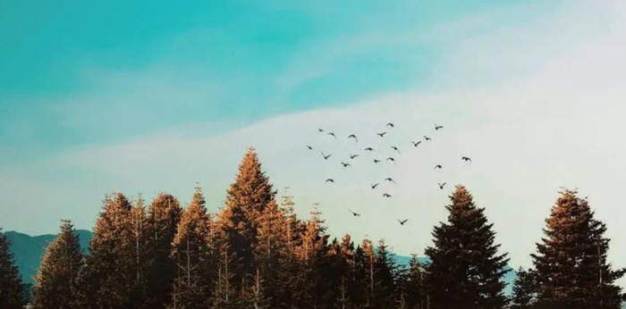 ps抠图教程【怎么用ps抠图】