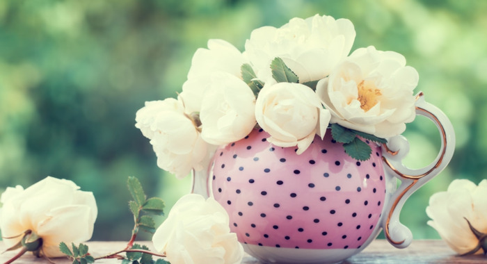 生双胞胎祝福语怎么说【祝福双胞胎出生祝福语】