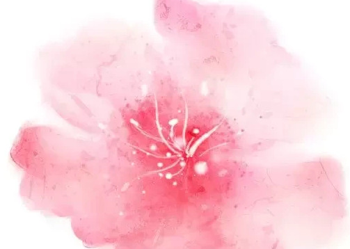 开业一周年的感恩词【开业两周年感恩的句子】