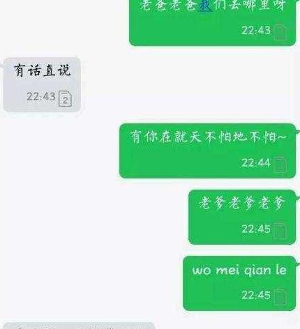 和儿子的那个聊天记录【条子和儿子聊天】