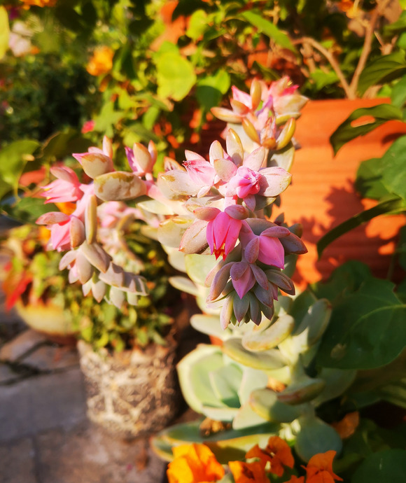 大学语文的收获【大学语文的收获与感悟论文】