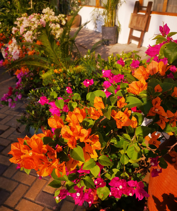 大学语文的收获【大学语文的收获与感悟论文】