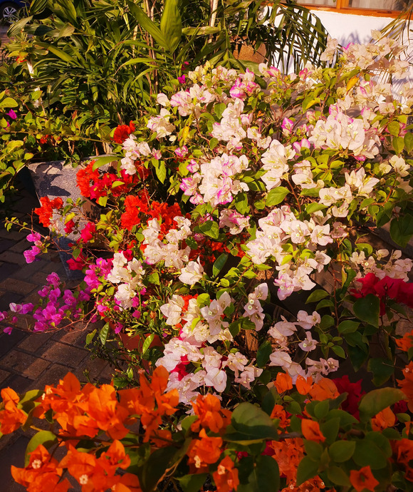 大学语文的收获【大学语文的收获与感悟论文】