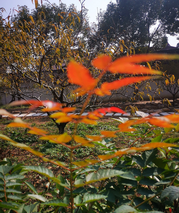 大学语文的收获【大学语文的收获与感悟论文】