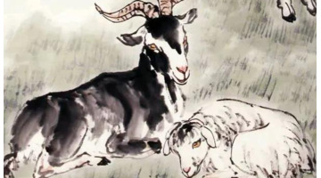 2022运程生肖大全【2022运程属羊】