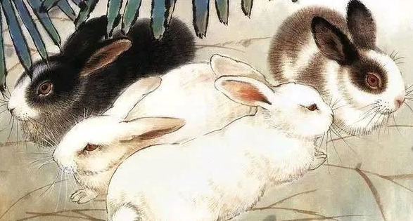 2022运程生肖大全【2022运程属羊】