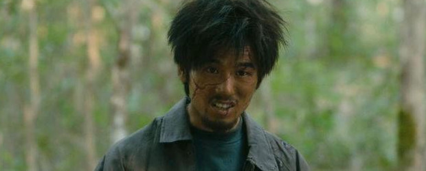 淘金原著小说【淘金原著猫头鹰是谁】