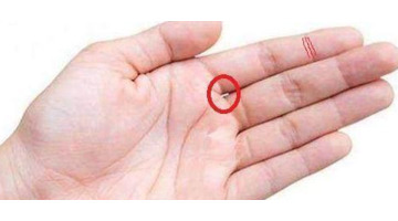 头脑笨的人手相【头脑聪明人的面相】