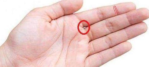 头脑笨的人手相【头脑聪明人的面相】