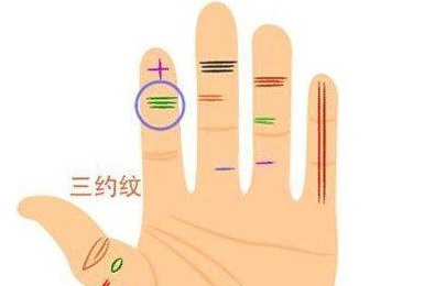 头脑笨的人手相【头脑聪明人的面相】