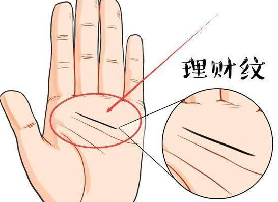 头脑笨的人手相【头脑聪明人的面相】