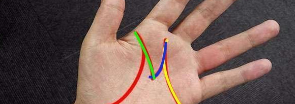 头脑笨的人手相【头脑聪明人的面相】