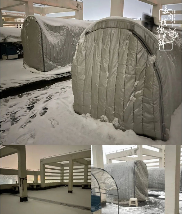 欣赏多肉的感想【养多肉对生活的感悟】