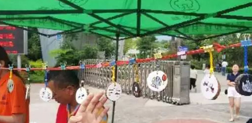 小学生树牌设计图片简单木瓜【小学生树牌设计图片怎么画最好看】