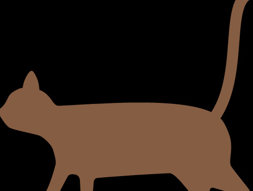 小学生树牌设计图片简单木瓜【小学生树牌设计图片怎么画最好看】