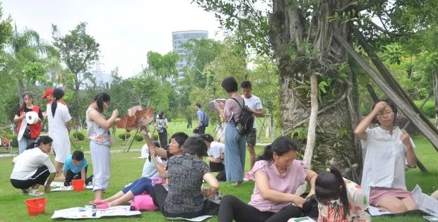 小学生树牌设计图片简单木瓜【小学生树牌设计图片怎么画最好看】