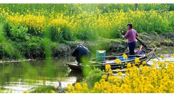 地母经2021年预言解释分析【地母经2021年预言解释相生相克】