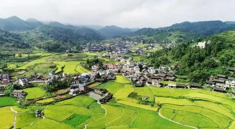 地母经2021年预言解释分析【地母经2021年预言解释相生相克】