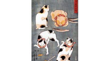 柴郡猫的露齿笑【柴郡猫的露齿笑为什么出名】