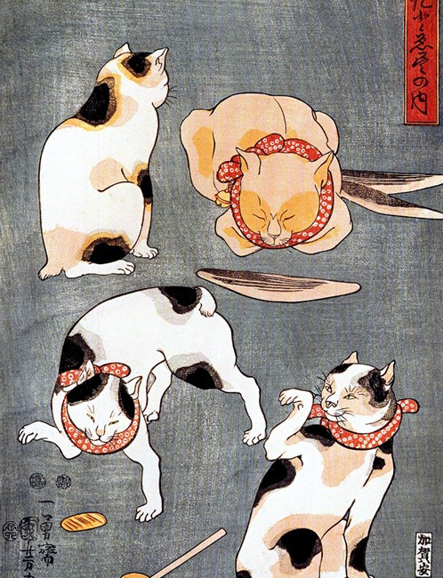 柴郡猫的露齿笑【柴郡猫的露齿笑为什么出名】