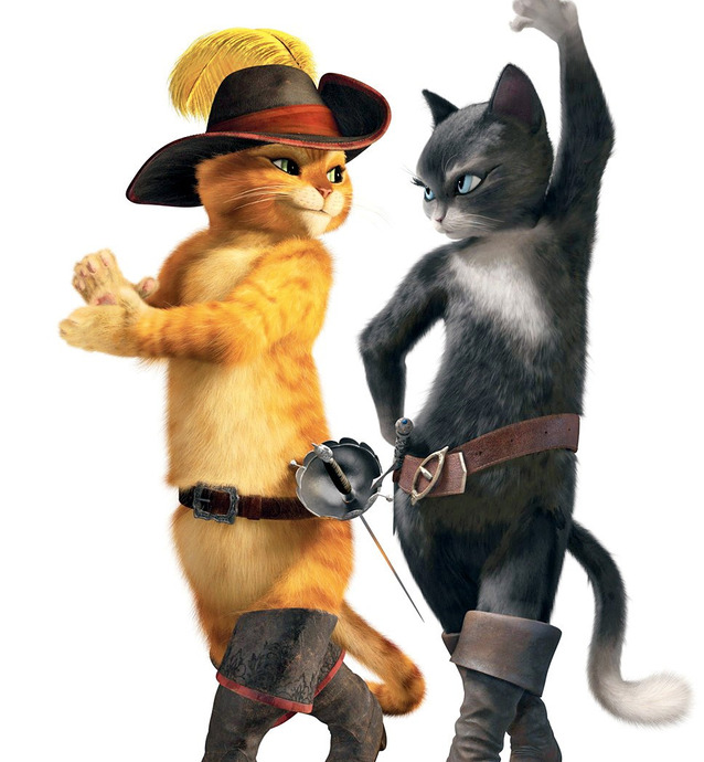 柴郡猫的露齿笑【柴郡猫的露齿笑为什么出名】