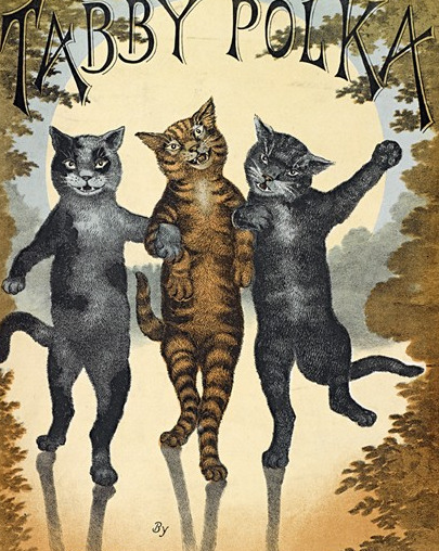 柴郡猫的露齿笑【柴郡猫的露齿笑为什么出名】