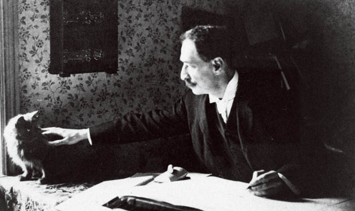 柴郡猫的露齿笑【柴郡猫的露齿笑为什么出名】