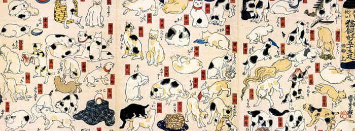 柴郡猫的露齿笑【柴郡猫的露齿笑为什么出名】