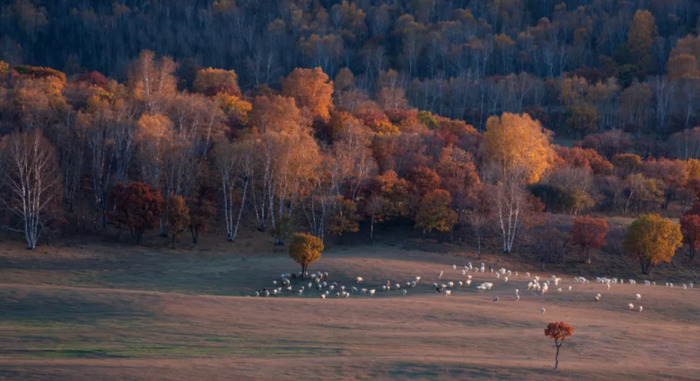 五一北京哪儿好玩【五一期间北京周边哪里好玩】