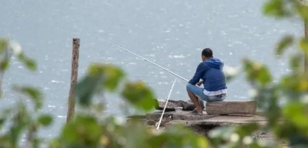 死鱼正口什么意思【死鱼正口是什么原因】