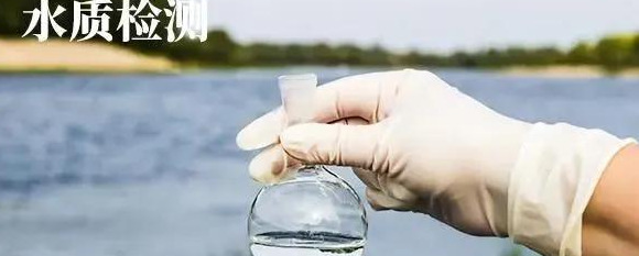 死鱼正口什么意思【死鱼正口是什么原因】