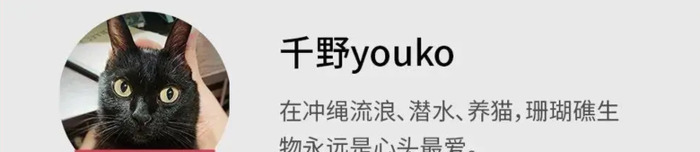 螃蟹螃蟹的照片【女螃蟹长什么样子】