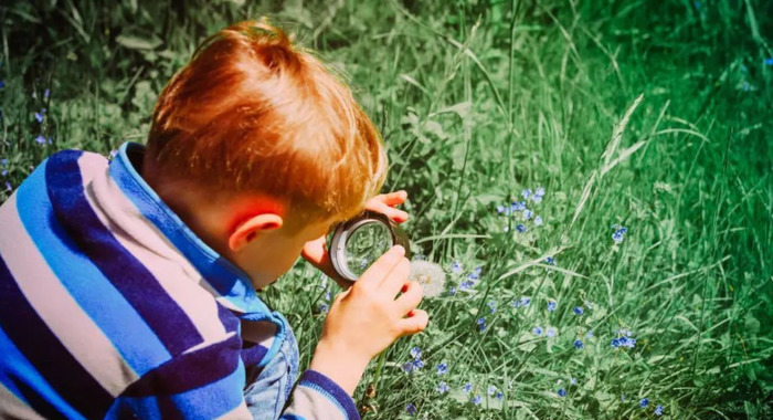 教育孩子自己的事情自己做感悟【幼儿园绘本自己的事情自己做感悟】