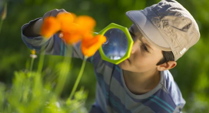 教育孩子自己的事情自己做感悟【幼儿园绘本自己的事情自己做感悟】